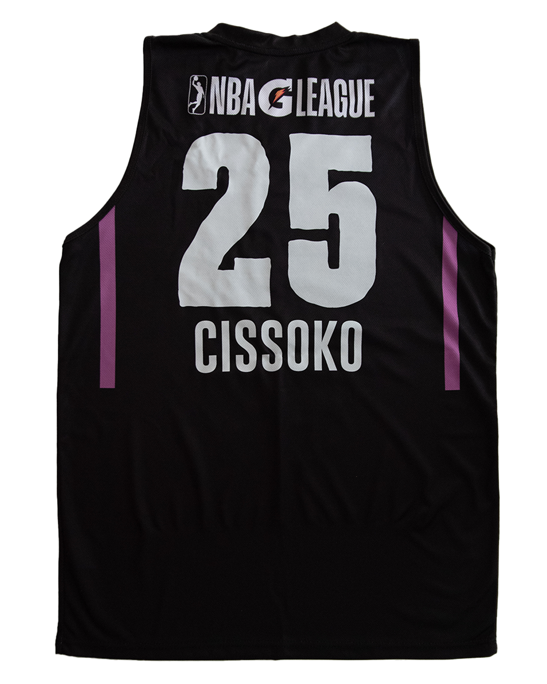 Minnesota Timberwolves ROSE#25 Black And Purple NBA Jersey